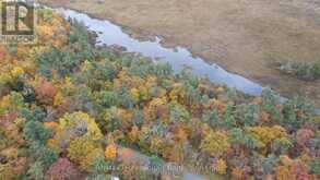 0 RIDGE ROAD | Muskoka Lakes Ontario | Slide Image Seven