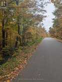 0 RIDGE ROAD | Muskoka Lakes Ontario | Slide Image Eight