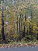 0 RIDGE ROAD | Muskoka Lakes Ontario | Slide Image Nine