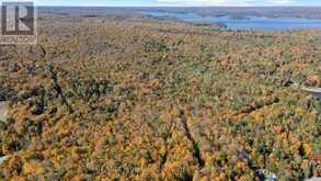 1555 BRECKLES DRIVE | Haliburton Ontario | Slide Image Thirteen