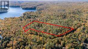 1555 BRECKLES DRIVE | Haliburton Ontario | Slide Image One