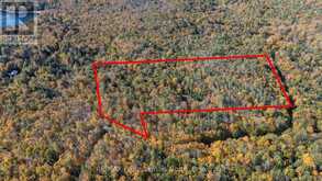 1555 BRECKLES DRIVE | Haliburton Ontario | Slide Image Two
