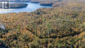 1555 BRECKLES DRIVE | Haliburton Ontario | Slide Image Nine