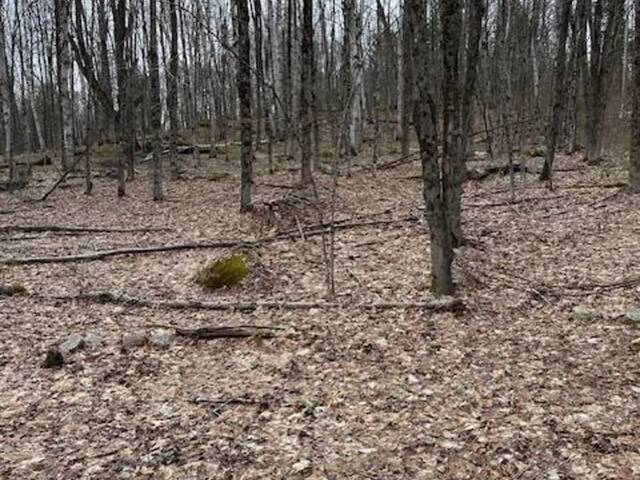 0 PROVIDENCE DRIVE Haliburton Ontario, K0M 1S0 - Waterfront Land For Sale
