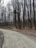 0 PROVIDENCE DRIVE | Haliburton Ontario | Slide Image Two