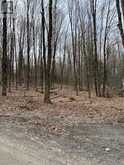 0 PROVIDENCE DRIVE | Haliburton Ontario | Slide Image Four