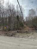 0 PROVIDENCE DRIVE | Haliburton Ontario | Slide Image Seven