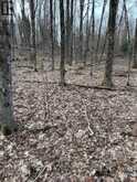 0 PROVIDENCE DRIVE | Haliburton Ontario | Slide Image Eight