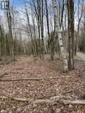 0 PROVIDENCE DRIVE | Haliburton Ontario | Slide Image Nine