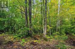 LOT 18 CONC 19 ROAD W | Penetanguishene Ontario | Slide Image Three