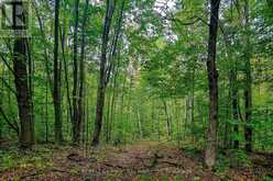 LOT 18 CONC 19 ROAD W | Penetanguishene Ontario | Slide Image Five