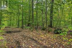 LOT 18 CONC 19 ROAD W | Penetanguishene Ontario | Slide Image Six