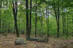 LOT 18 CONC 19 ROAD W | Penetanguishene Ontario | Slide Image Seven
