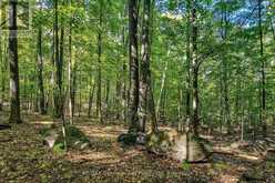 LOT 18 CONC 19 ROAD W | Penetanguishene Ontario | Slide Image Eight