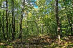 LOT 18 CONC 19 ROAD W | Penetanguishene Ontario | Slide Image Nine