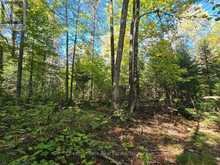 LT 32 PT 8 GIBBONS ROAD | Sundridge Ontario | Slide Image Thirteen