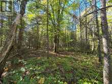 LT 32 PT 8 GIBBONS ROAD | Sundridge Ontario | Slide Image Fifteen
