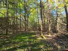 LT 32 PT 8 GIBBONS ROAD | Sundridge Ontario | Slide Image Twenty