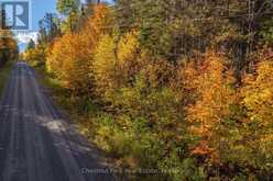 LT 32 PT 8 GIBBONS ROAD | Sundridge Ontario | Slide Image Three