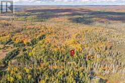 LT 32 PT 8 GIBBONS ROAD | Sundridge Ontario | Slide Image Five