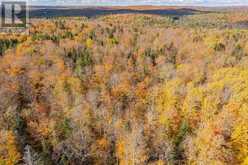 LT 32 PT 8 GIBBONS ROAD | Sundridge Ontario | Slide Image Seven