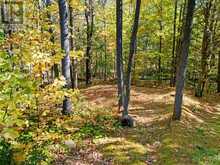 334 MUSQUOSH RIVER SHR | MacTier Ontario | Slide Image Twenty