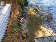 334 MUSQUOSH RIVER SHR | MacTier Ontario | Slide Image Thirty