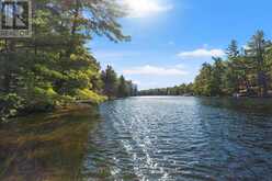 334 MUSQUOSH RIVER SHR | MacTier Ontario | Slide Image Thirty-six