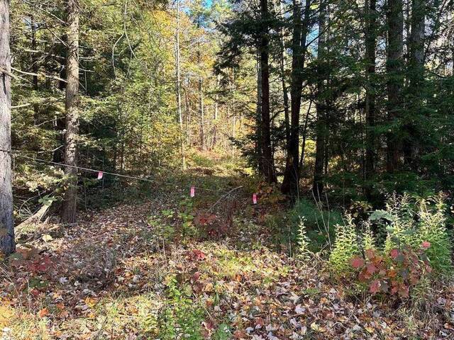 1101 DOE LAKE ROAD Gravenhurst Ontario, P1P 1R3 - Vacant Land For Sale