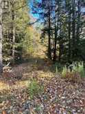 1101 DOE LAKE ROAD | Gravenhurst Ontario | Slide Image One