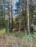 1101 DOE LAKE ROAD | Gravenhurst Ontario | Slide Image Two
