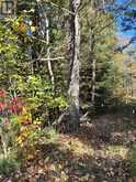 1101 DOE LAKE ROAD | Gravenhurst Ontario | Slide Image Three