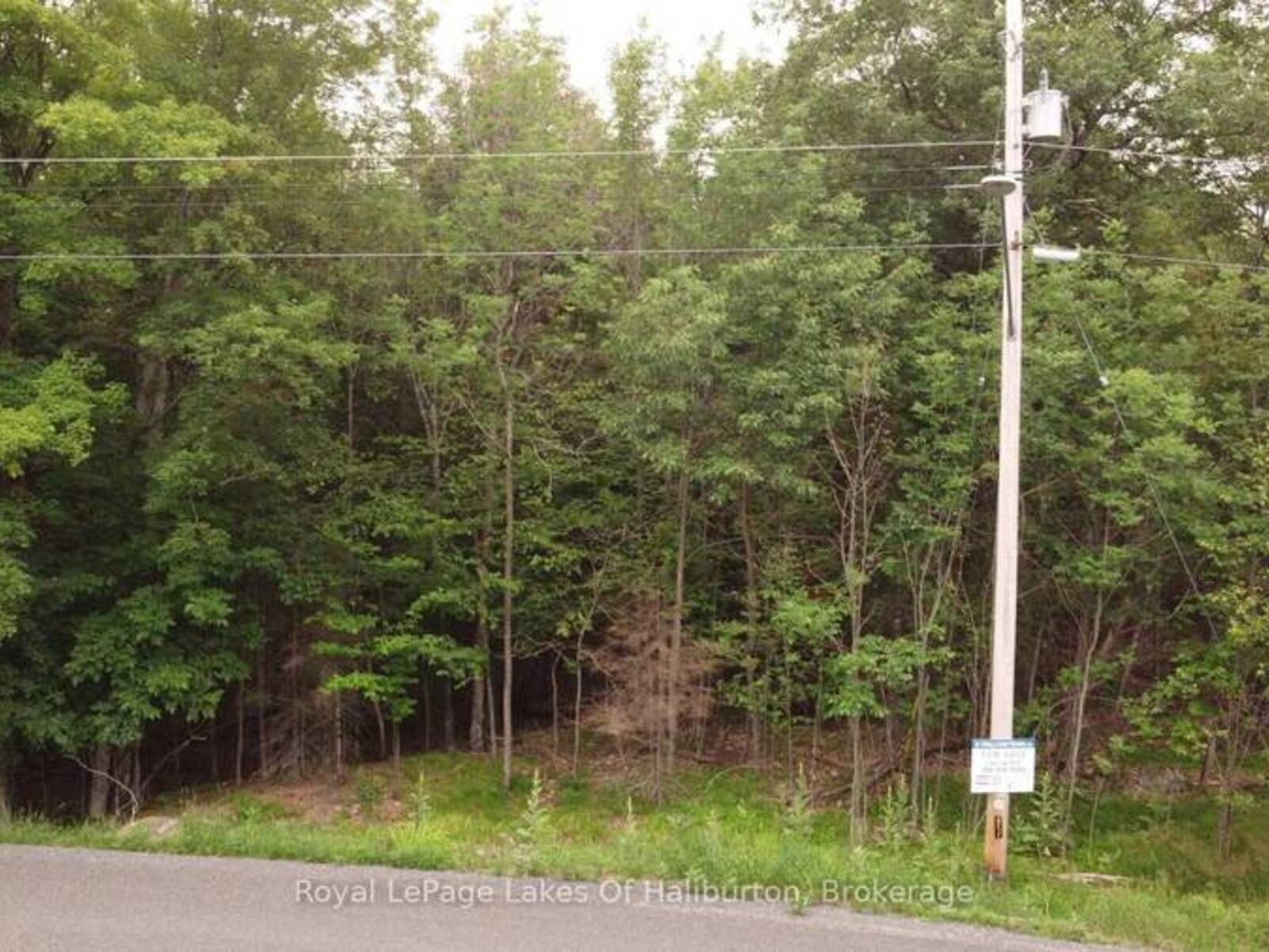 0 DOME STREET, Haliburton, Ontario K0M 1S0
