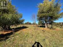 PART 3 BALSAM ROAD | Whitestone Ontario | Slide Image One