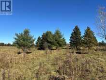 PART 3 BALSAM ROAD | Whitestone Ontario | Slide Image Three