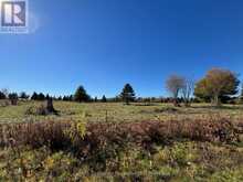 PART 3 BALSAM ROAD | Whitestone Ontario | Slide Image Seven