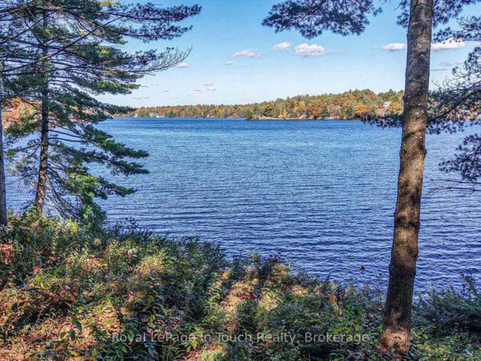 3872 ELVA LANE, Coldwater, Ontario L0K 1E0