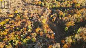 0 MUSKOKA RD 38 ROAD | Bala Ontario | Slide Image Nine