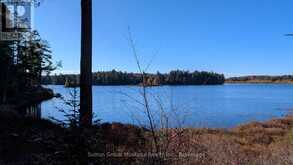 1448 LIMBERLOST ROAD | Dwight Ontario | Slide Image Sixteen