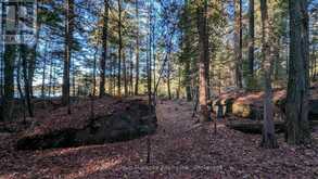 1448 LIMBERLOST ROAD | Dwight Ontario | Slide Image Twenty-two