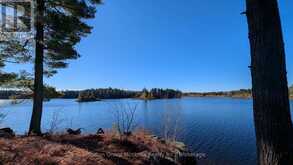 1448 LIMBERLOST ROAD | Dwight Ontario | Slide Image Three