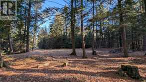1448 LIMBERLOST ROAD | Dwight Ontario | Slide Image Six