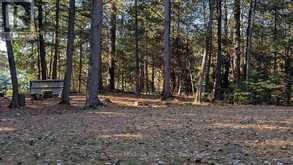 1448 LIMBERLOST ROAD | Dwight Ontario | Slide Image Eight