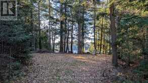 1448 LIMBERLOST ROAD | Dwight Ontario | Slide Image Nine