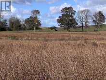 1279 25 ELDERSLIE SIDE ROAD | Tara Ontario | Slide Image Fifteen