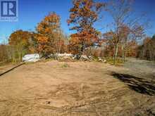 110A LOUISA STREET | Parry Sound Ontario | Slide Image Nineteen