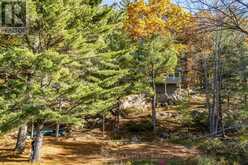 607 JUNIPER DRIVE | Gravenhurst Ontario | Slide Image Twenty-three