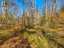 0 FRAU LANE | Bracebridge Ontario | Slide Image Seven