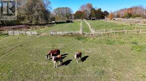 137662 GREY ROAD 12 | Meaford Ontario | Slide Image Thirty