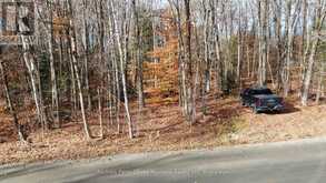 65 NORTH SANDY PLAINS ROAD | Seguin Ontario | Slide Image Thirteen